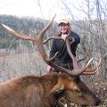 Elk
